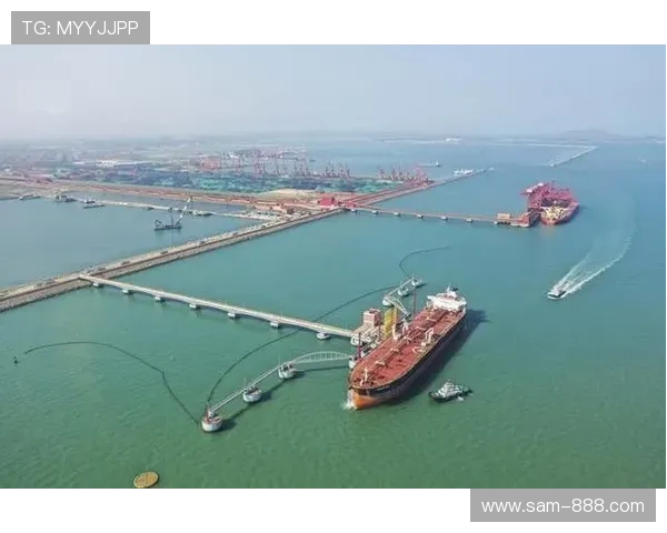 聚焦湖北企业家创新发展与区域经济崛起的时代新篇章探索路径蓝图